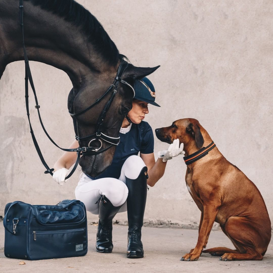 Equestrian Forgrit.jpg